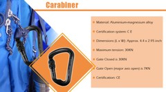 Heavy Duty Carabiner Lock & Prusik Cord Loop Rope fr Arborist Tree Rock Climbing