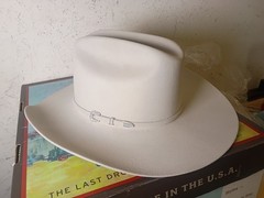 Stetson Skyline 6X 88 Silver Grey Western Hat Size 7 1/2 4″ Brim **EUC Clean!