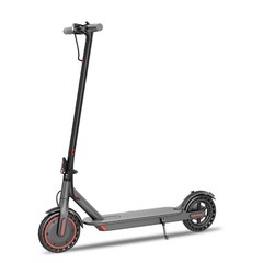 Ladped LP80 ADULT ELECTRIC SCOOTER 350W LONG RANGE 19Miles HIGH SPEED 19MPH~
