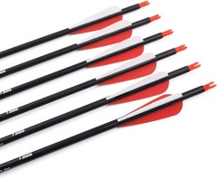 High-Performance Archery Arrows – 6/12PCS Carbon 30″ for Precision Shooting