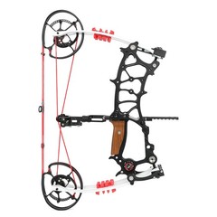 Archery 30-75lbs Compound Bow Kit Dual-use Short Axis Hunting Target Shoot RHLH
