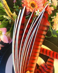7-9in Full Length Turkey Feathers Cut Fletches Archery Hunting Flu Flu Arrows