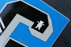 G Grizzly Skateboard Grip Tape Bear Girl OG Z34A Vintage Skateboarding STICKER