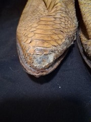 Tony Lama Snakeskin / Leather (?) Western Cowboy Boots Nice Designs