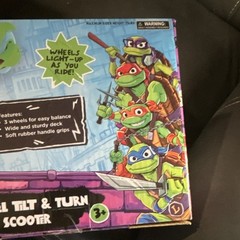 Nickelodeon TMNT Tales 3-Wheel Kick Scooter Tilt & Turn LED Wheels Green