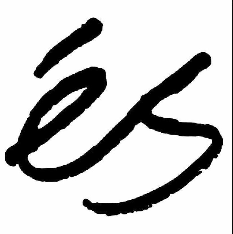 ES Skateboard logo die cut vinyl decal sticker car window 7.5″