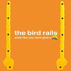 (Dealer 10-Pack Lot) Enjoi Skateboards the Bird Rails Sliders 13.5″ Yellow