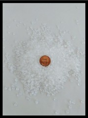 10 lbs Plastic Poly Pellets Washable Dryable Free Shipping American Made