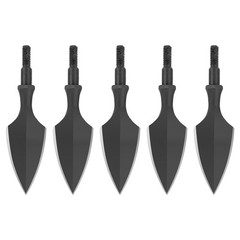 3X Archery Arrowsheads Traditional Broadheads Screw Points Tip Crossbow Shooting