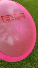 Innova Champion Wombat3 176g Never Thrown 176g