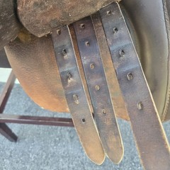 Avante All Purpose English Schooling Saddle 19″