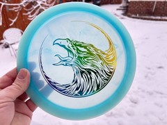 Champion FLAT Firebird Fierce Falcon Disc Golf Swirl Innova Artist Limited #6036