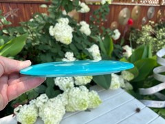2021 Blue GLOW Flat Champion Eagle Disc Golf Innova Penned (Free Returns) #2416