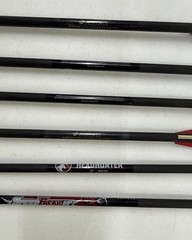 Barnett Cross Bow Bolts 20 Inch Bolts – Item 4211