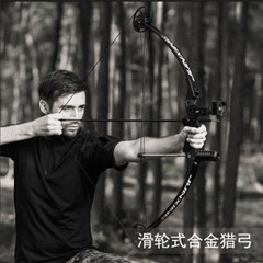Bowfishing Compound Bow Arrows 30-40lbs Adjustable Archery Hunting Fishing Shoot