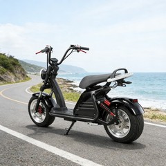 citycoco 18 Inch Fat tire Electric Motorcycle 4000W Motor Max Speed 70-75 KM/H