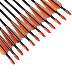 12Pcs 31inch Fiberglass Practice Arrows for Archery Target Shooting Recurve Bows