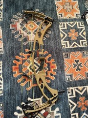 Hoyt Rx9 Ultra RH 40-50#