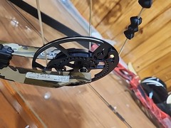 Bear Whitetail INT Bow Package RTH 45-60lbs Black With Bottomland Limbs 335fps