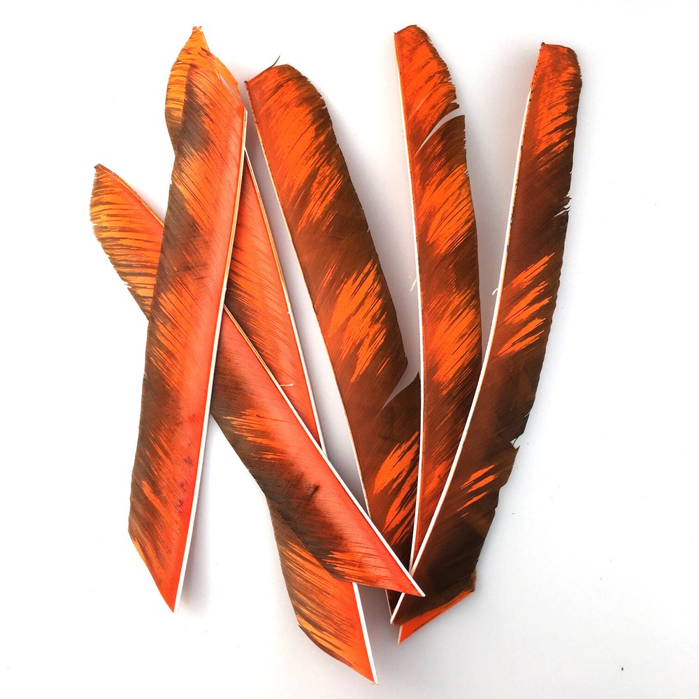 50pcs Archery Rw Fletches 18-25cm Turkey Feather Arrows for 3D Target Shooting