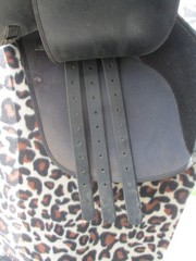 16.5» Med Wintec 250 Adjustable English A/P Saddle, Wintec Webbers & compositi