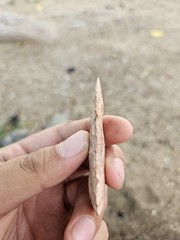 Keokuk Chert Arrowhead/ Atlatl Point