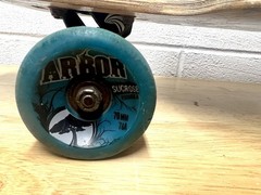 2013 Arbor The Catalyst 38 Skateboard Chief Native American Max Neutra Board