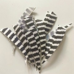 Archery Turkey Feather Right Wing 5in Barred Fletches Hunting Arrows Art Craft