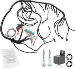 Standalone Wiring Harness, 4L60E DBC, Red/Blue PCM, Compatible with 1997-2006 GM
