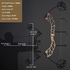 Compound Bow 19-70lbs Hunting Bow Archery Shooting Arrows Kit Target Practice
