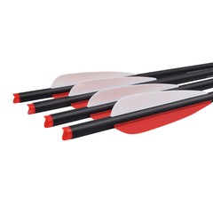 12pcs 18/20 Inch Archery Carbon Arrow Hunting Arrows for Compound&Recurve Bow