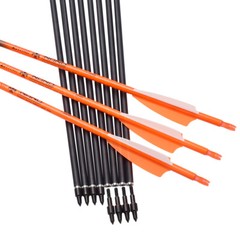 6/12Pcs 28 Inch Carbon Arrows OD 7.8mm SP500 Archery For Compound/Recurve Bow US