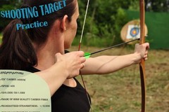12 Pack Ambidextrous Carbon Arrows – 29 Inch with Strong TPU Vanes for Accuracy