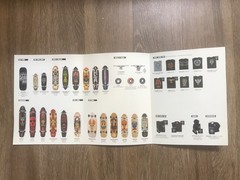 Dogtown Skateboards 2007 Dealer Color Catalog brochure skateboard Tony Alva.