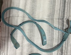 USED Triple E Made In The USA Teal Nylon horse Headstall With Quick Change Snaps