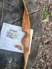 Vintage Wing Archery Gull recurve 40# zebra