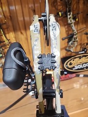Bear Whitetail INT Bow Package RTH 45-60lbs Black With Bottomland Limbs 335fps