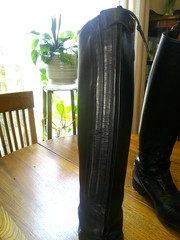 OVATION LADIES FLEX SPORT FIELD BOOT 7.5 REG CALF & BOOT BAG BOOT TREES EUC