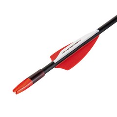 30-60lbs Bow Archery Target Hunting Compound Bow Archery Compound Arrows Kit