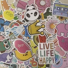 Lot 5 Random Vinyl Laptop Skateboard Luggage Water Bottle Decals Stickers