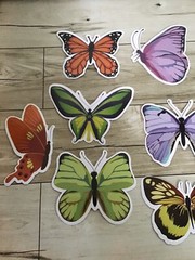 BUTTERFLIES Butterfly Stickers Vinyl Waterproof PVC Luggage Laptop Decals Lot