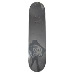 LIMITED EDITION POPULAR CHARACTER SKATEBOARD, KIDS CHARACTER SKATEBOARD