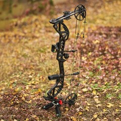 Compound Bow Set 30-70lbs Adjustable Hunting Carbon Arrow Adults Archery Hunting