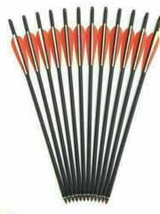 12Pcs 17″/20″/22″ Carbon Arrows OD 8.8mm Crossbow Bolts or Quiver Target Hunting
