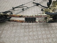 Predator Raptor Compund Bow Southland Archery Sight Tewax Biscuit Hunting