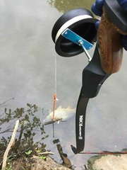 6/12pcs Bowfishing Arrows Fiberglass Broadheads Archery Bow Fishing Hunting 8mm