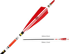 TTFLY FLETCHING 12PCS Red Turkey Feather 31 Inches Carbon Arrows Tips Targeting