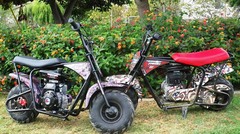 Straight Governor Throttle Return Spring for the Baja & Hensim 80cc Mini Bike