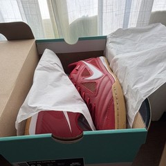 Nike x Supreme SB Gato QS Red Skateboarding Shoes US 9.5–DEADSTOCK