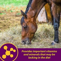 Farnam Red Cell Yucca Flavored Iron Mineral Rich Supplement For Horses 1 Gallon